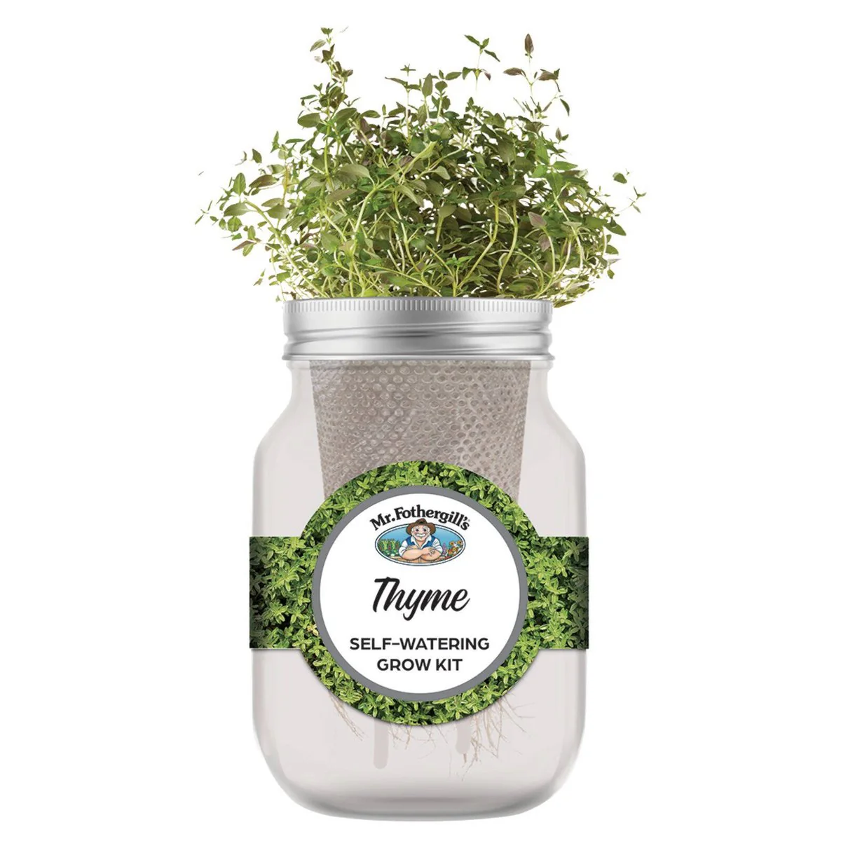 Mr Fothergill Thyme Self Watering Mason Jar Grow Kit - 90mm x 172mm - Grey - Image 2