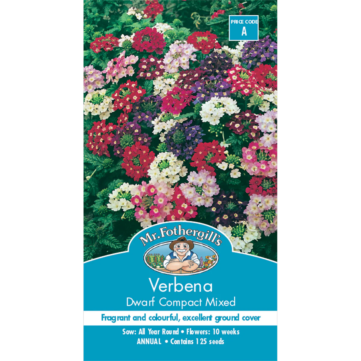 Mr Fothergill Verbena Dwarf Compact Flower Seeds 20cm Seeds Ground Cover