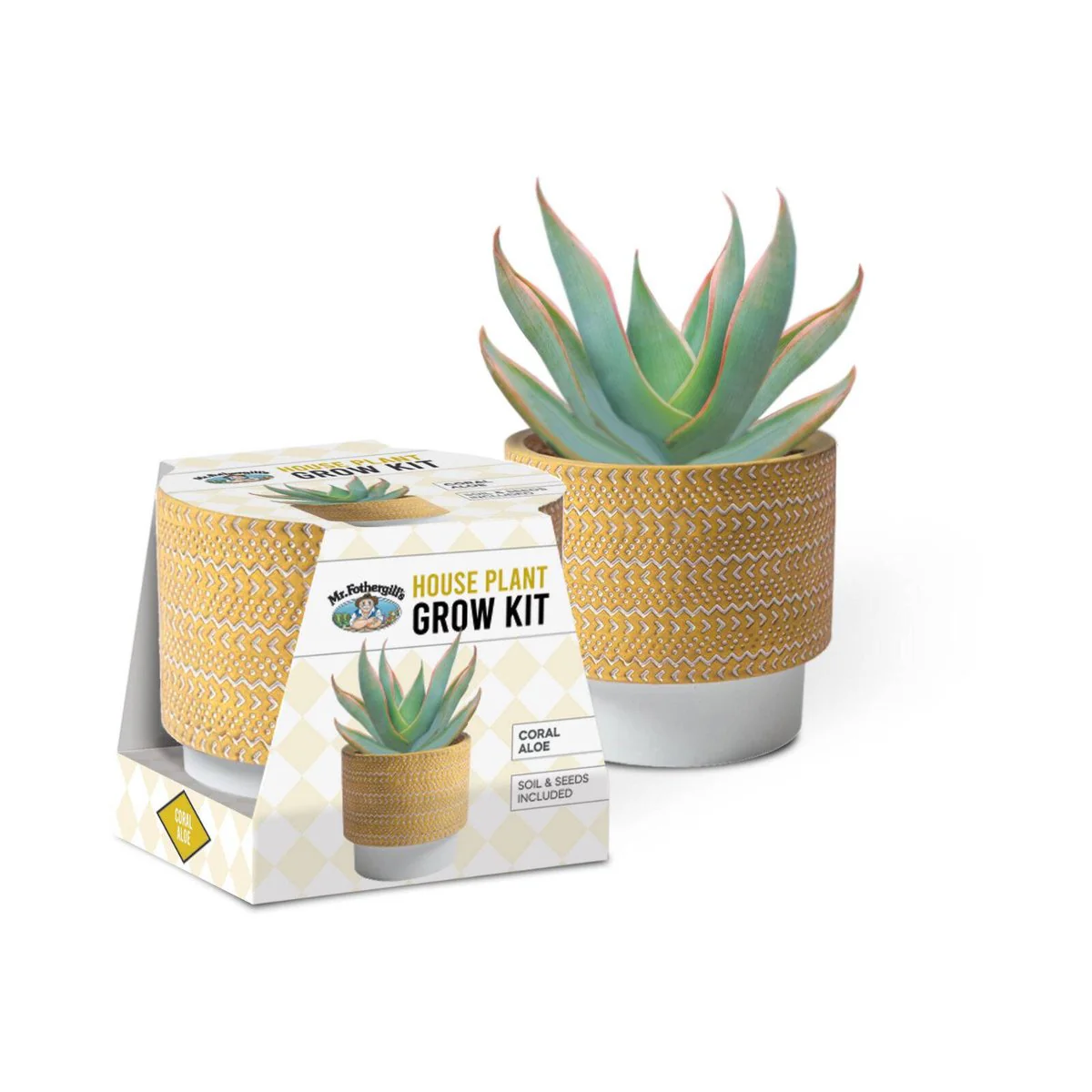 Mr Fothergill's Coral Aloe Grow Kit - Terracotta Pot - 95mm x 100mm - Yellow - Image 2