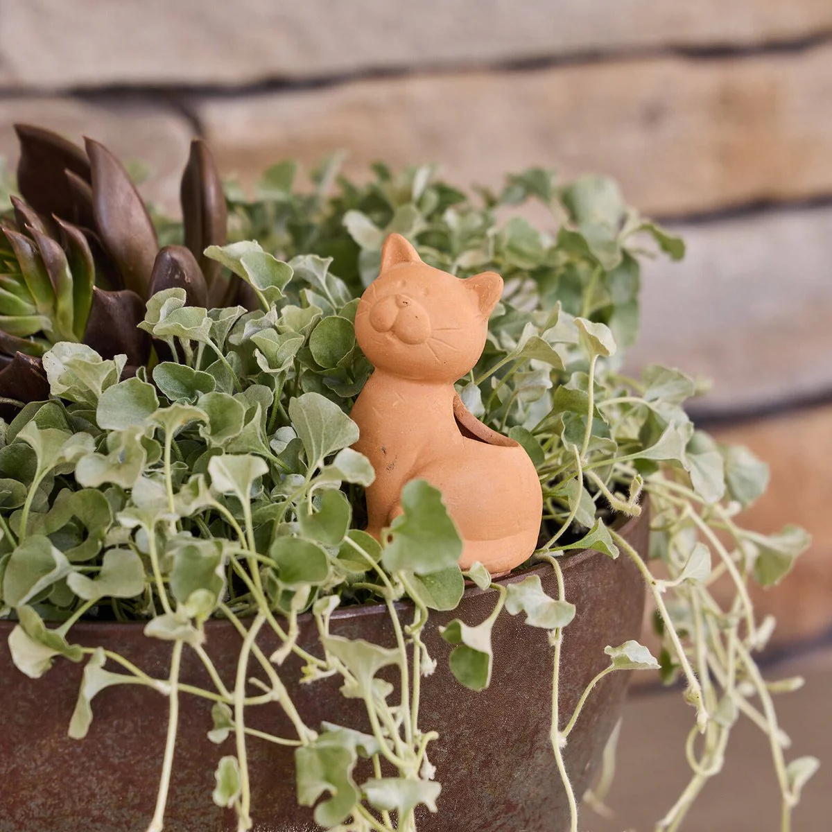 Northcote Pottery Cat Self Watering Garden Pot Stake 14cm Terracotta - Slow Release Hydration - Image 2