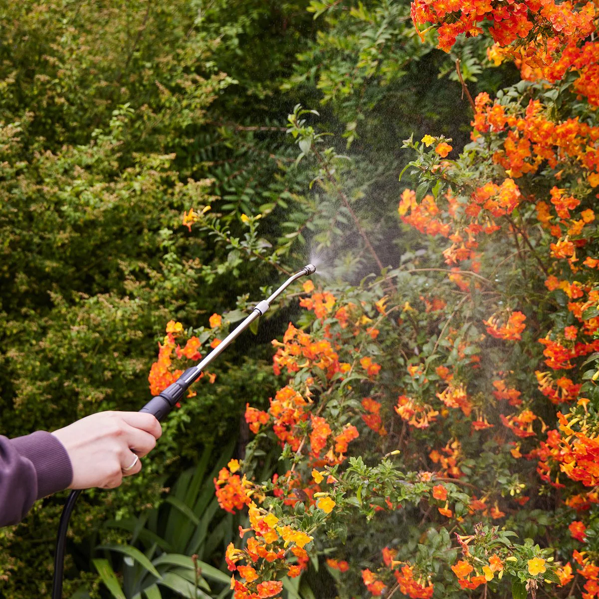 Nylex 8L Battery Garden Sprayer - Rechargeable - Ergonomic Design - 60cm Lance - Image 4
