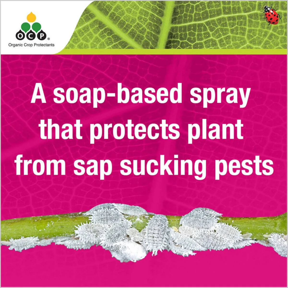 Ocp Eco Insect Killer Concentrate 250ml - Soap-Based - Organic Approved - Image 3