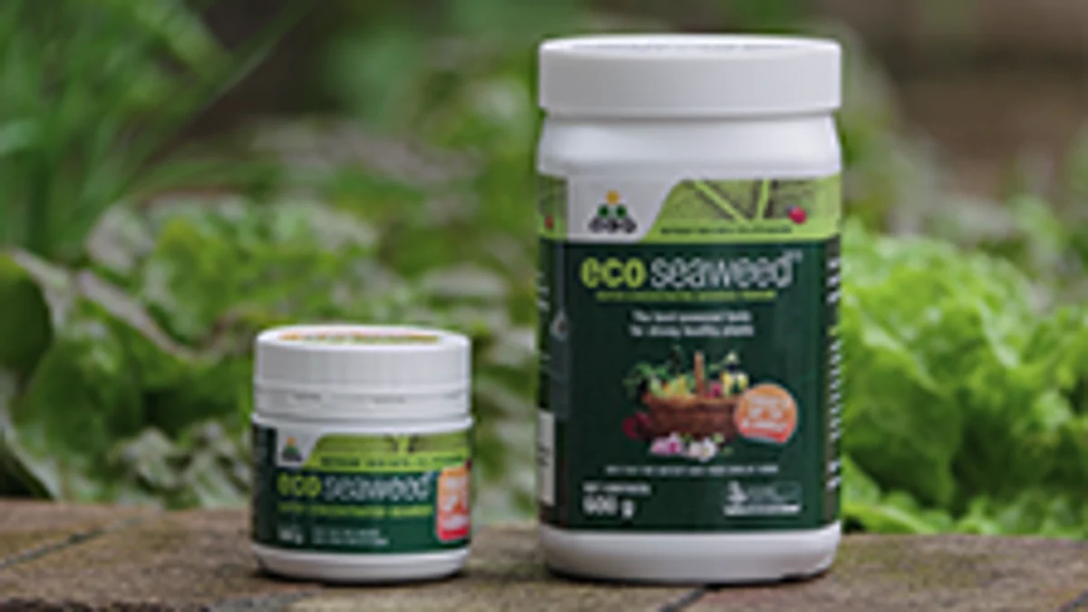 OCP Eco Seaweed Fertiliser - 600g - Powdered Extract - Organic Use - Image 3