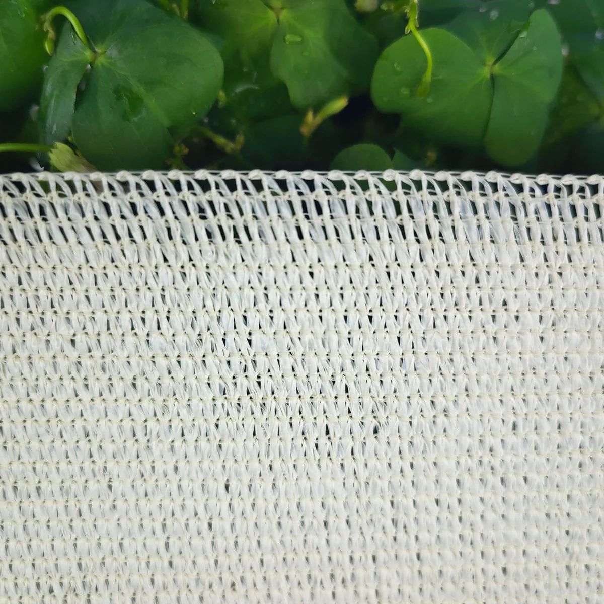 Pillar 1 Classic Cream Shade Cloth 83 x 10m - 90% UV Protection - Image 3