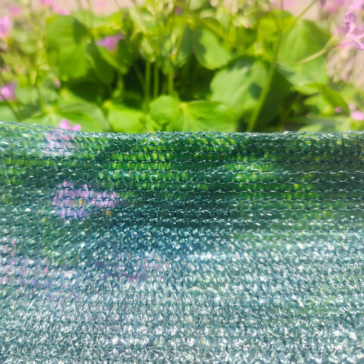 Pillar 3 Shade Cloth - 66 x 10m - HDPE - 30% UV Protection - Image 3