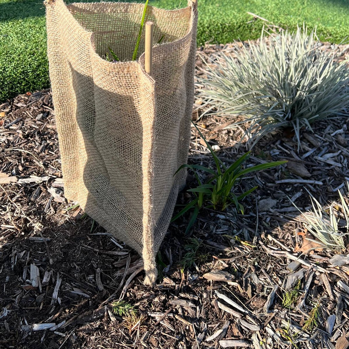 Pillar Natural Hessian Tree Guard Sleeve 30 x 45cm 3 Pack - Breathable Protection - Image 2