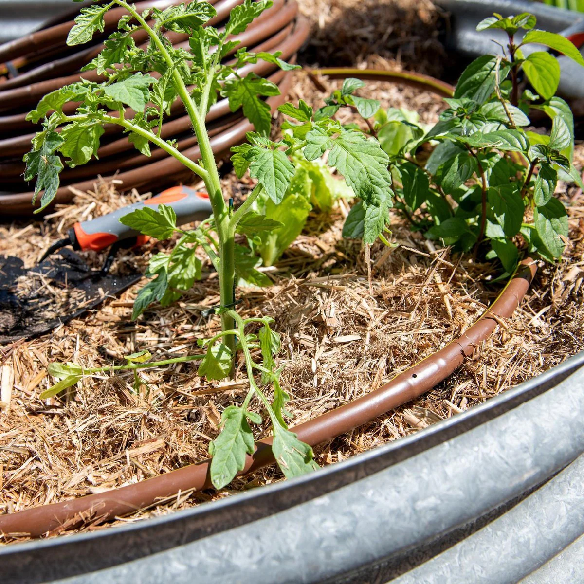 Pope Drip Eze Drip Irrigation Tube 13mm x 15m - Brown - Efficient Water Delivery - Image 5