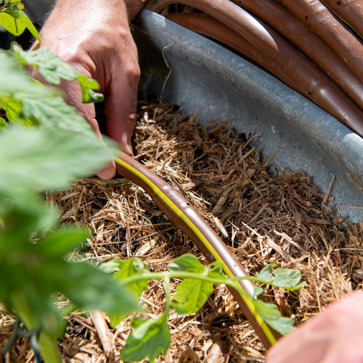 Pope Drip Eze Drip Irrigation Tube 13mm x 30m - Brown - Efficient Water Delivery - Image 4