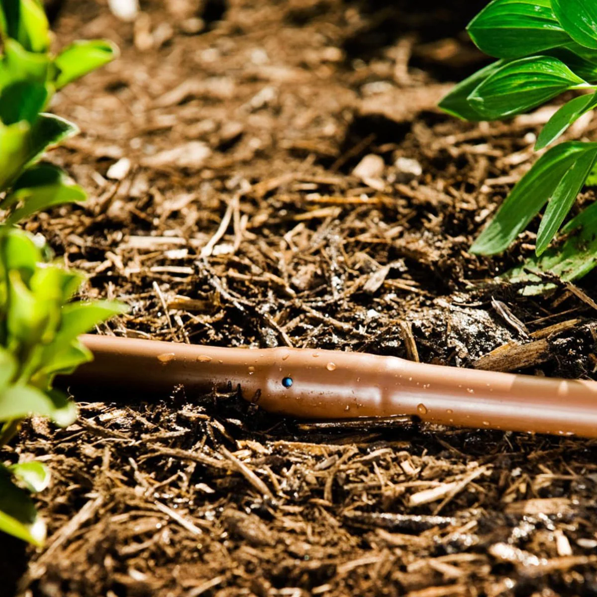 Pope Drip Eze Drip Irrigation Tube 13mm x 50m - Brown - Efficient Water Delivery - Image 2