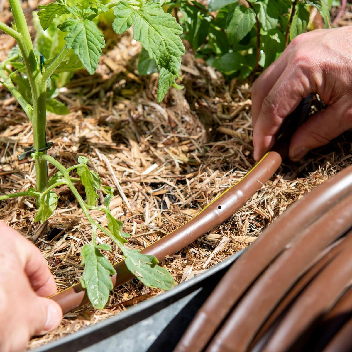 Pope Drip Eze Drip Irrigation Tube 13mm x 50m - Brown - Efficient Water Delivery - Image 3