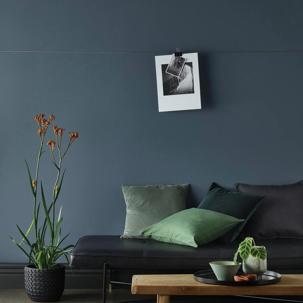 Porter S Washable Paint - 2L - Gunmetal Grey - Eggshell Finish - 162mm x 156mm x 141mm - Image 3