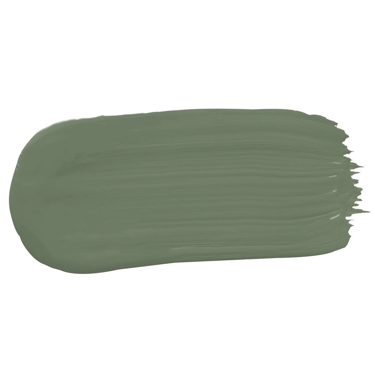Porter S Washable Paint 4L Bayleaf Eggshell Finish 199mm x 191mm x 178mm - Image 2