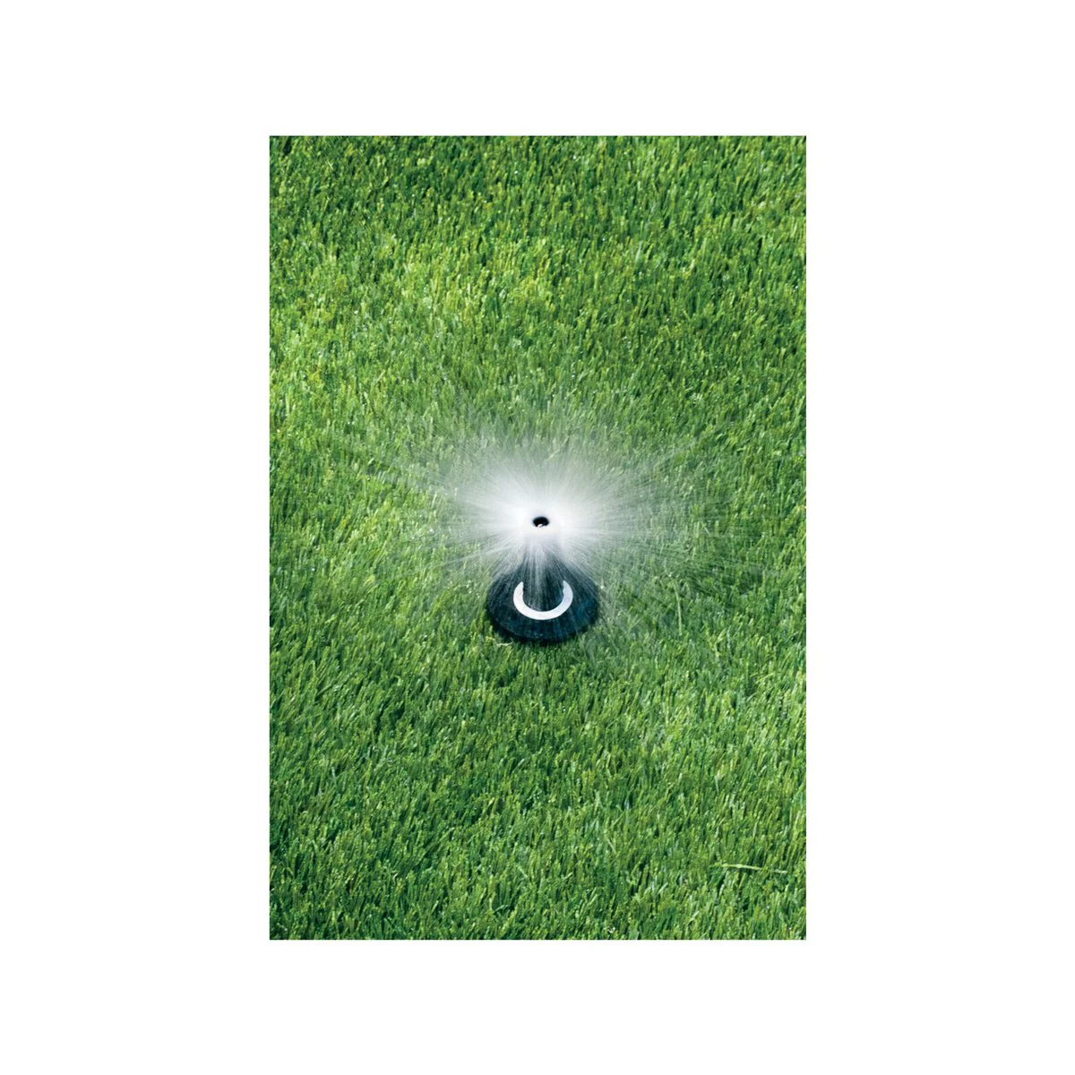 Rain Bird 50mm 2.4m 1800 Series Adjustable Spray Pop-Up Sprinkler - Image 2