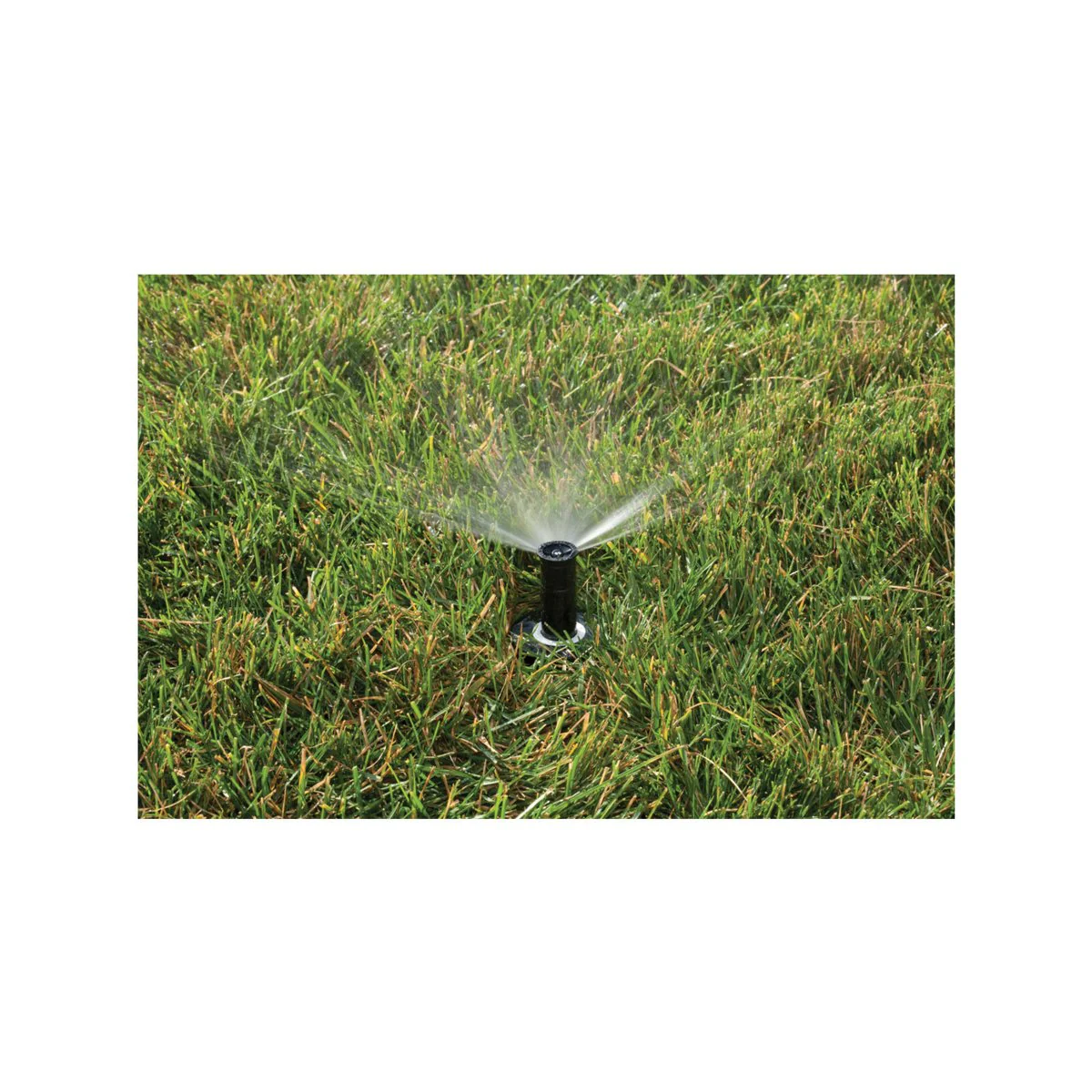 Rain Bird 50mm 2.4m 1800 Series Adjustable Spray Pop-Up Sprinkler - Image 3
