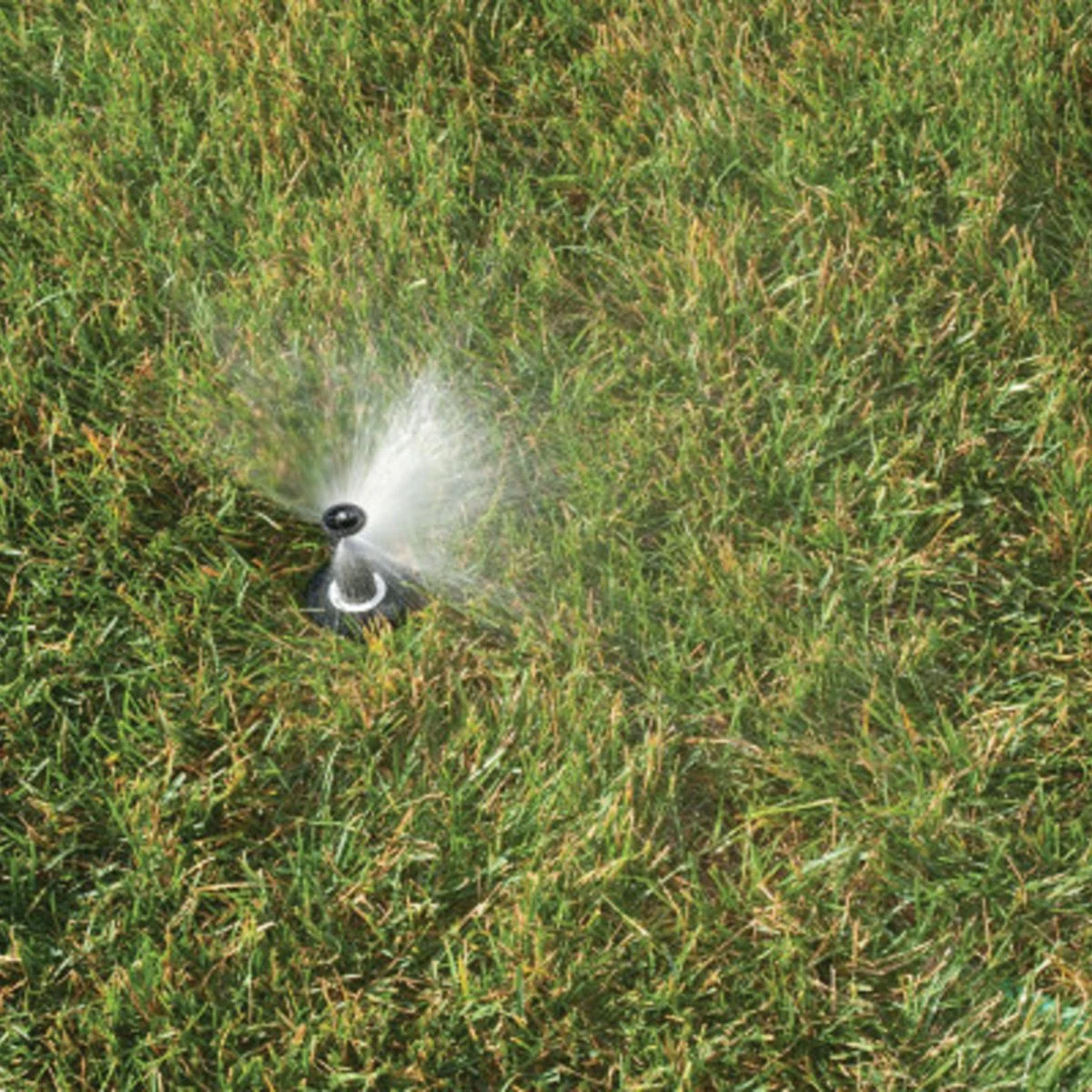 Rain Bird Dual Spray Quarter Pattern 50mm (2") Pop-Up Spray Head - Image 3