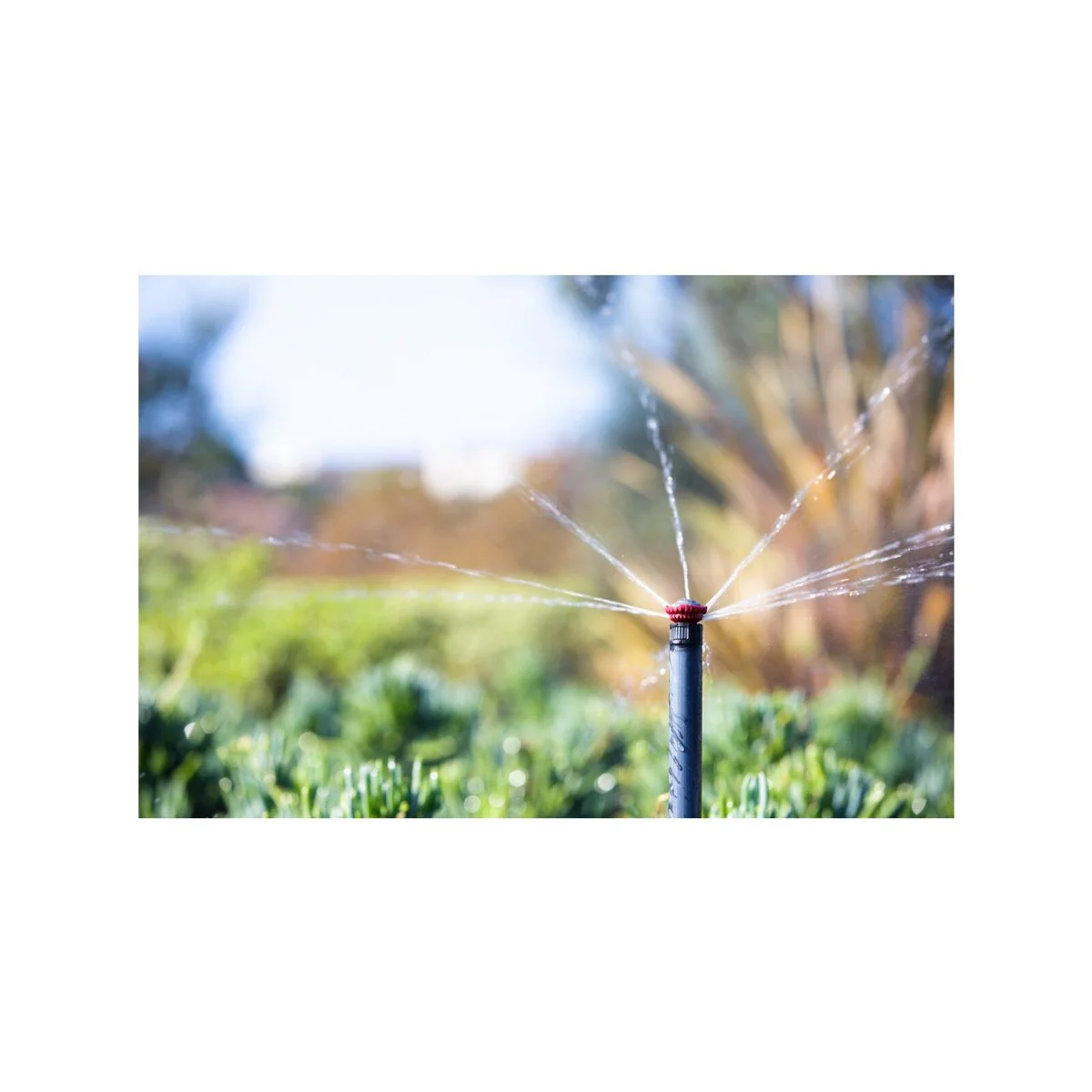 Rain Bird High Efficiency Rotary Nozzle - 5.2-7.3m (17-24ft) - Adjustable Pattern - Image 3