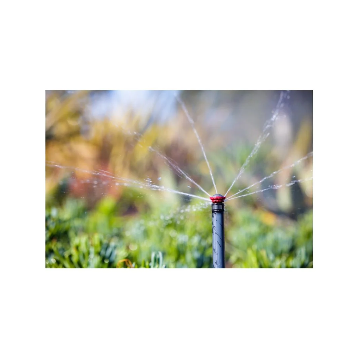 Rain Bird High Efficiency Rotary Nozzle - 5.2-7.3m (17-24ft) - Adjustable Pattern - Image 4