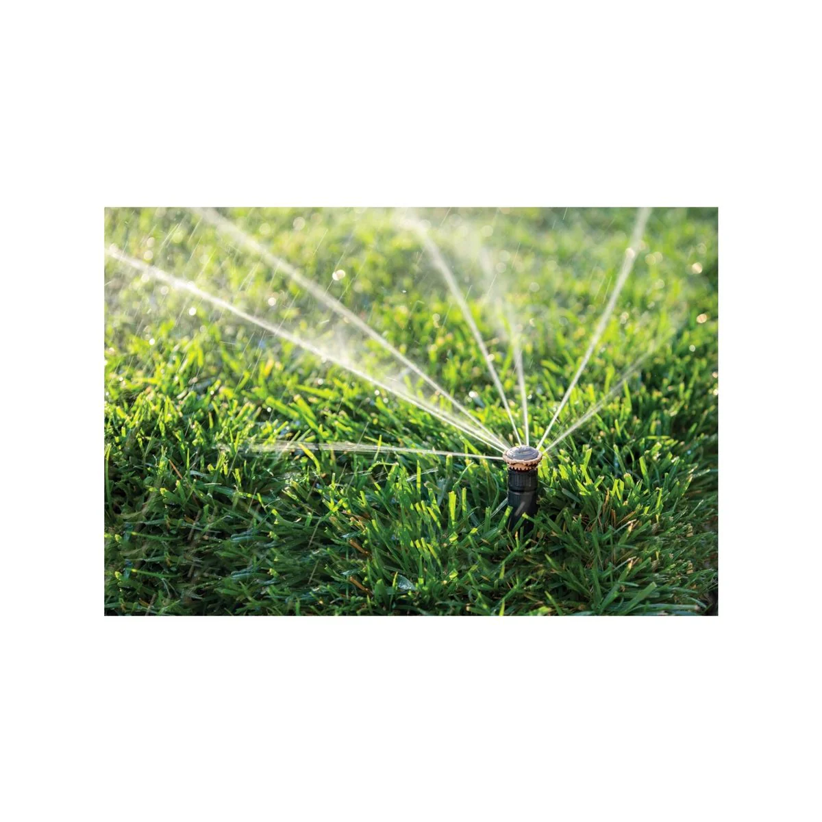 Rain Bird Rotary Nozzle - High Efficiency - 4 to 5.5m (13 to 18 ft) - Adjustable Pattern - Image 2