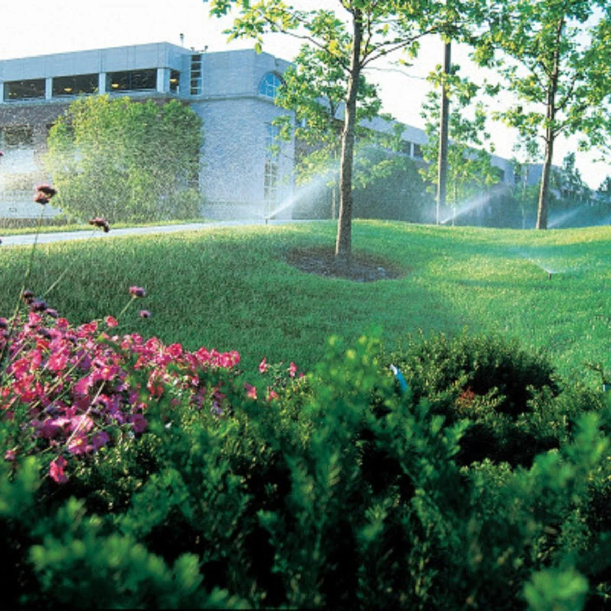 Rain Bird Shrub Nozzle - 12'-15' - Half Circle - Uniform Watering - Image 3