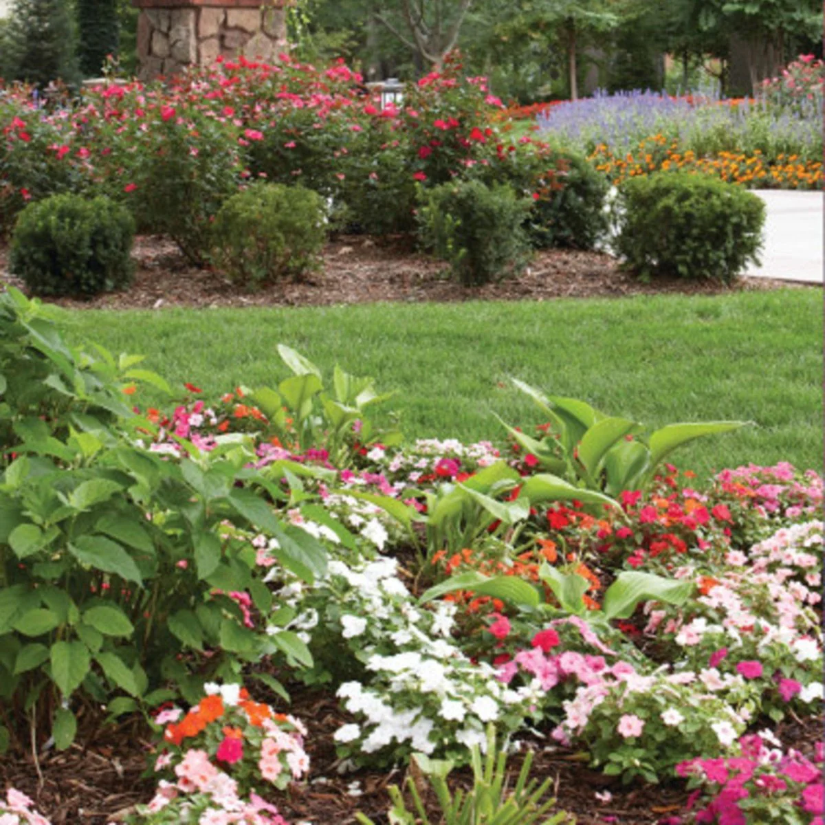Rain Bird Shrub Nozzle - 12'-15' - Half Circle - Uniform Watering - Image 4