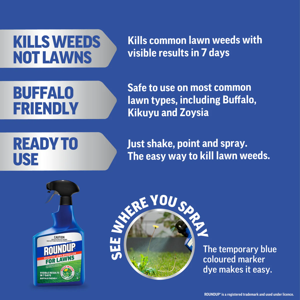 Roundup for Lawns 1L Ready to Go - Selective Weedkiller - 1L - Spot Spray - Image 3