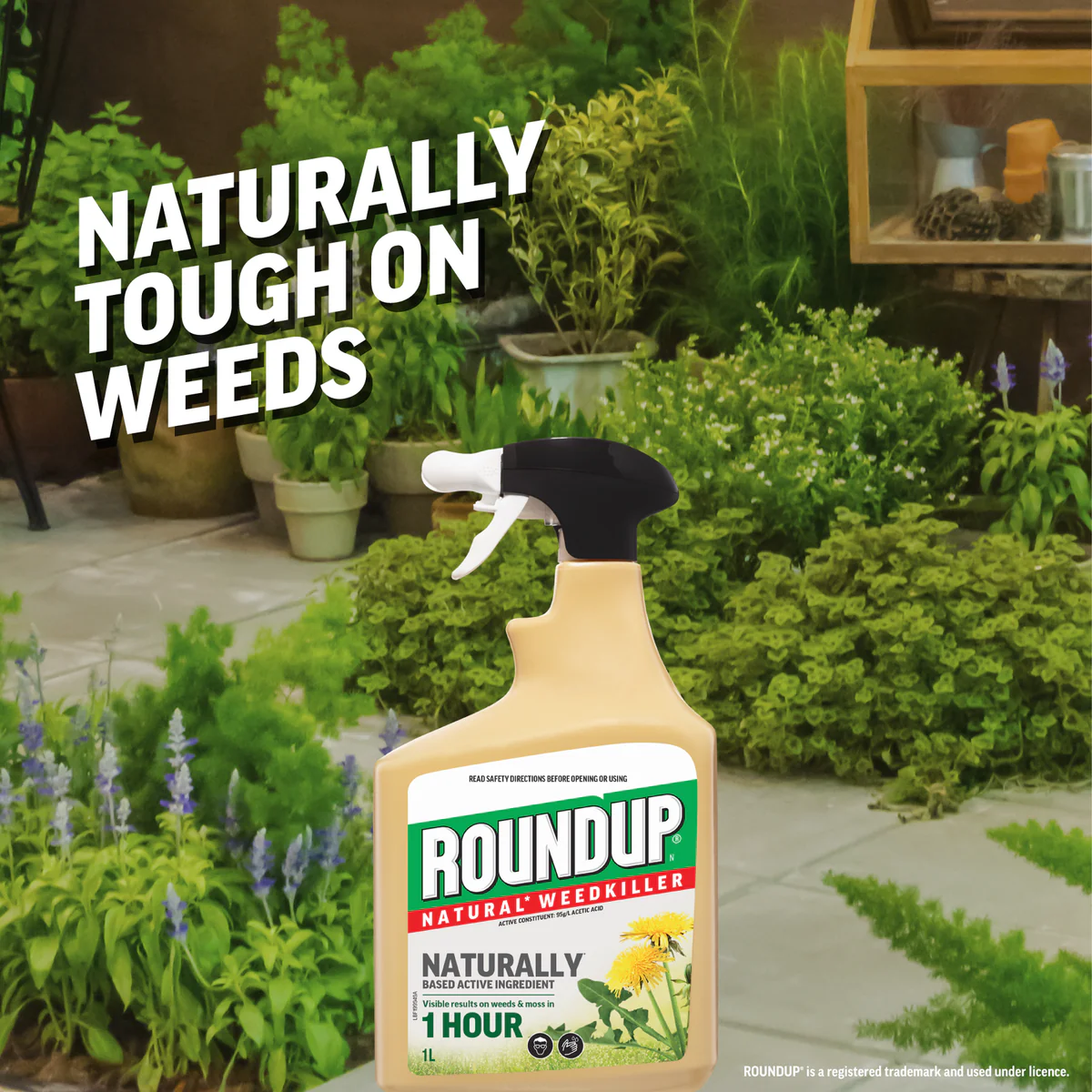 Roundup Natural Weedkiller - 1L Ready to Use - Effective Against Weeds, Grasses, Moss - Image 3