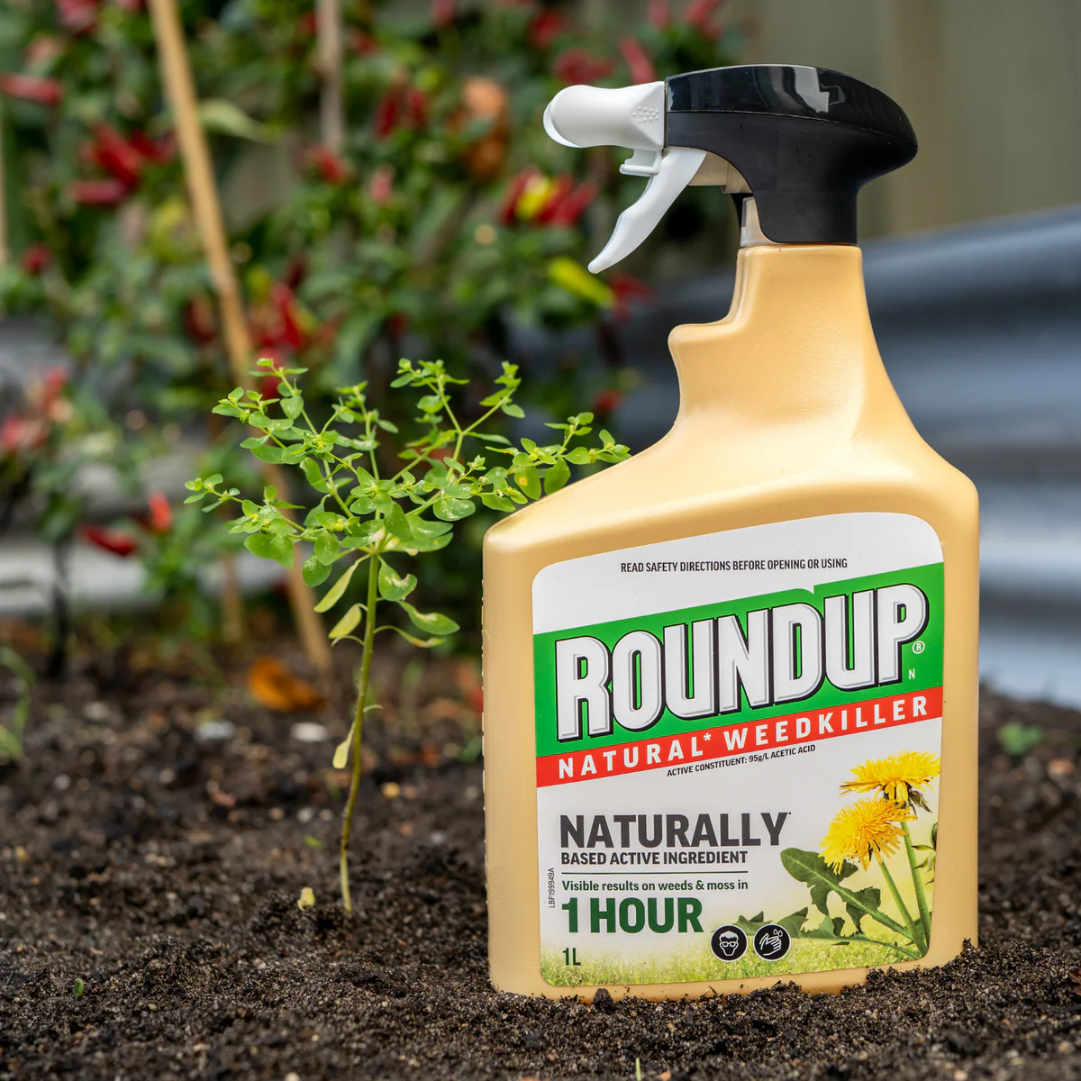 Roundup Natural Weedkiller - 1L Ready to Use - Effective Against Weeds, Grasses, Moss - Image 5