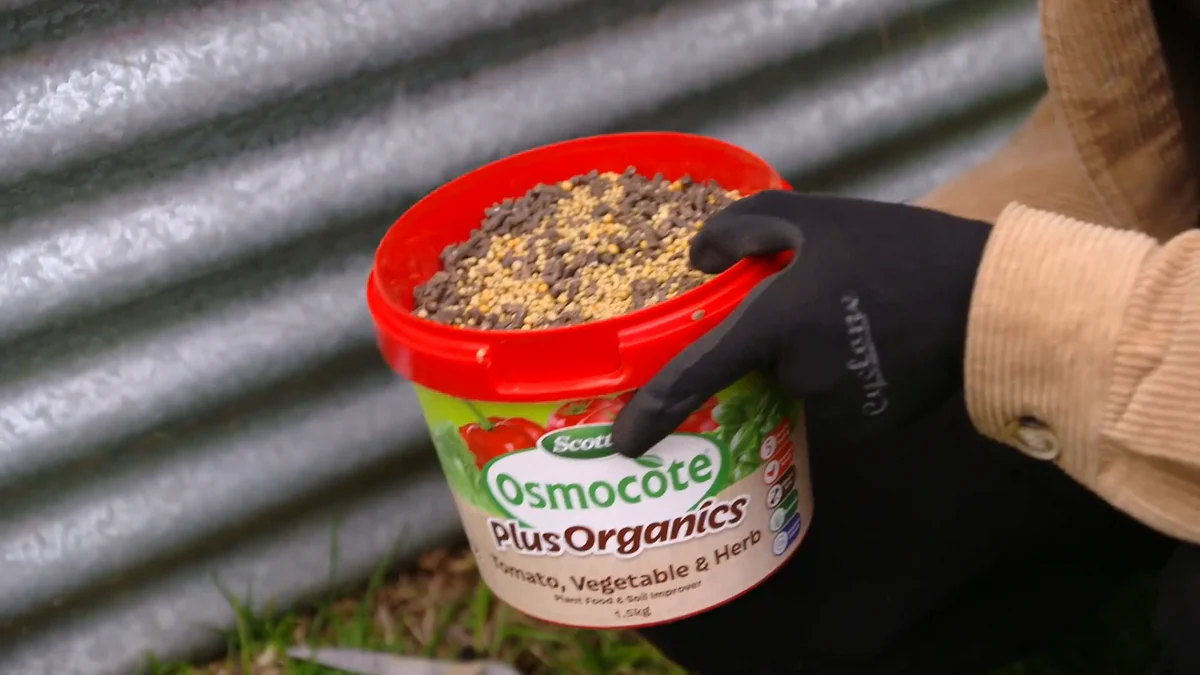 Scotts Osmocote Plus Organics - 1.5kg - Controlled Release Fertiliser - Safe for Vegetables - Image 2