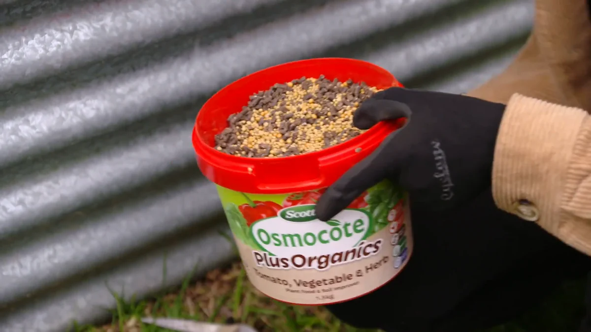 Scotts Osmocote Plus Organics - 3.5kg - Granular - Vegetable & Herb Use - Image 2