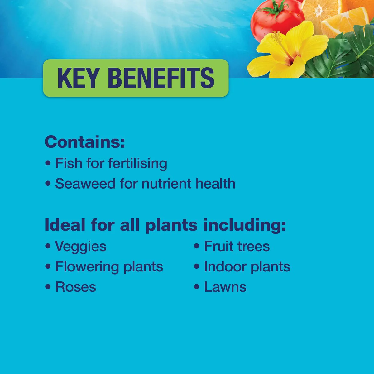 Searles SeaMax Liquid Organic Fertiliser 1L - 100% Organic - Blue - Enhances Growth - Image 4