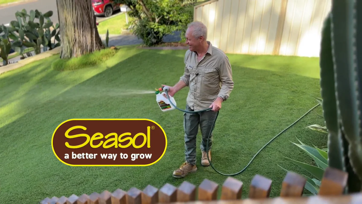 Seasol Liquid Fertiliser - Lush Green Lawns Concentrate 4L - Soil Health & Growth - Image 3