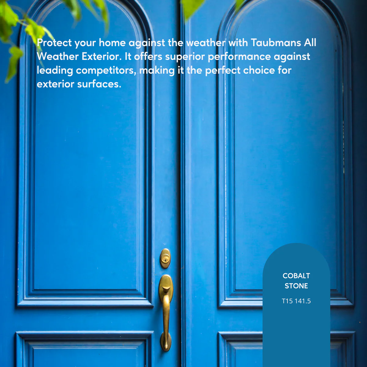 Taubmans 1L Hi C Blue Low Sheen All Weather Exterior Paint - Mould Resistant - UV Protection - Image 3