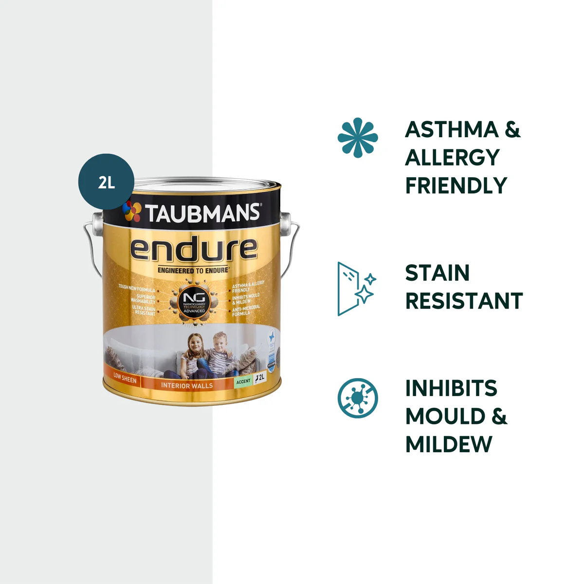 Taubmans 2L Accent Low Sheen Endure Interior Walls Paint - 2L - Stain Resistant - Low Odour - Image 2