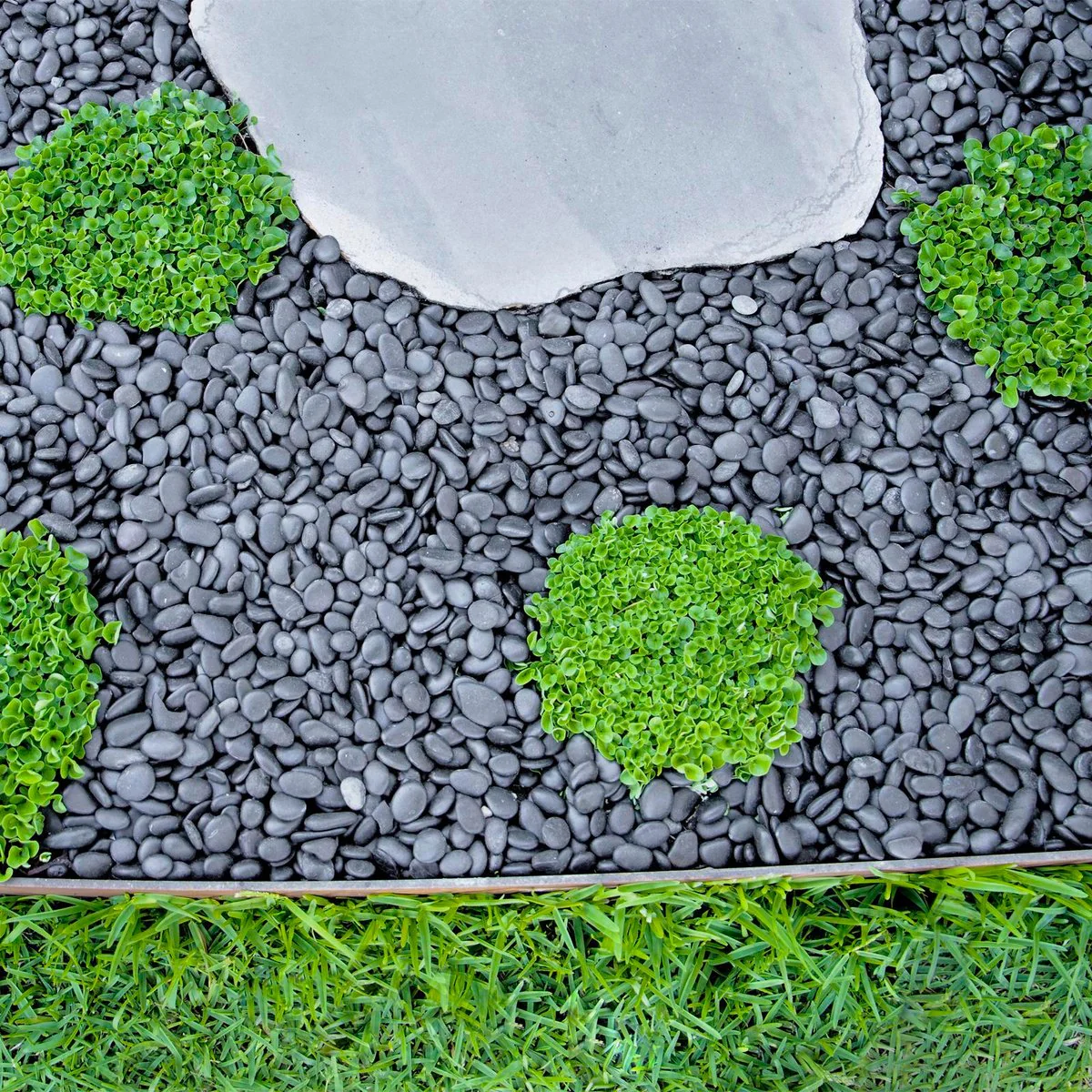 Tuscan Path Black Natural Pebbles 15-20mm 5kg for Landscaping - Image 2
