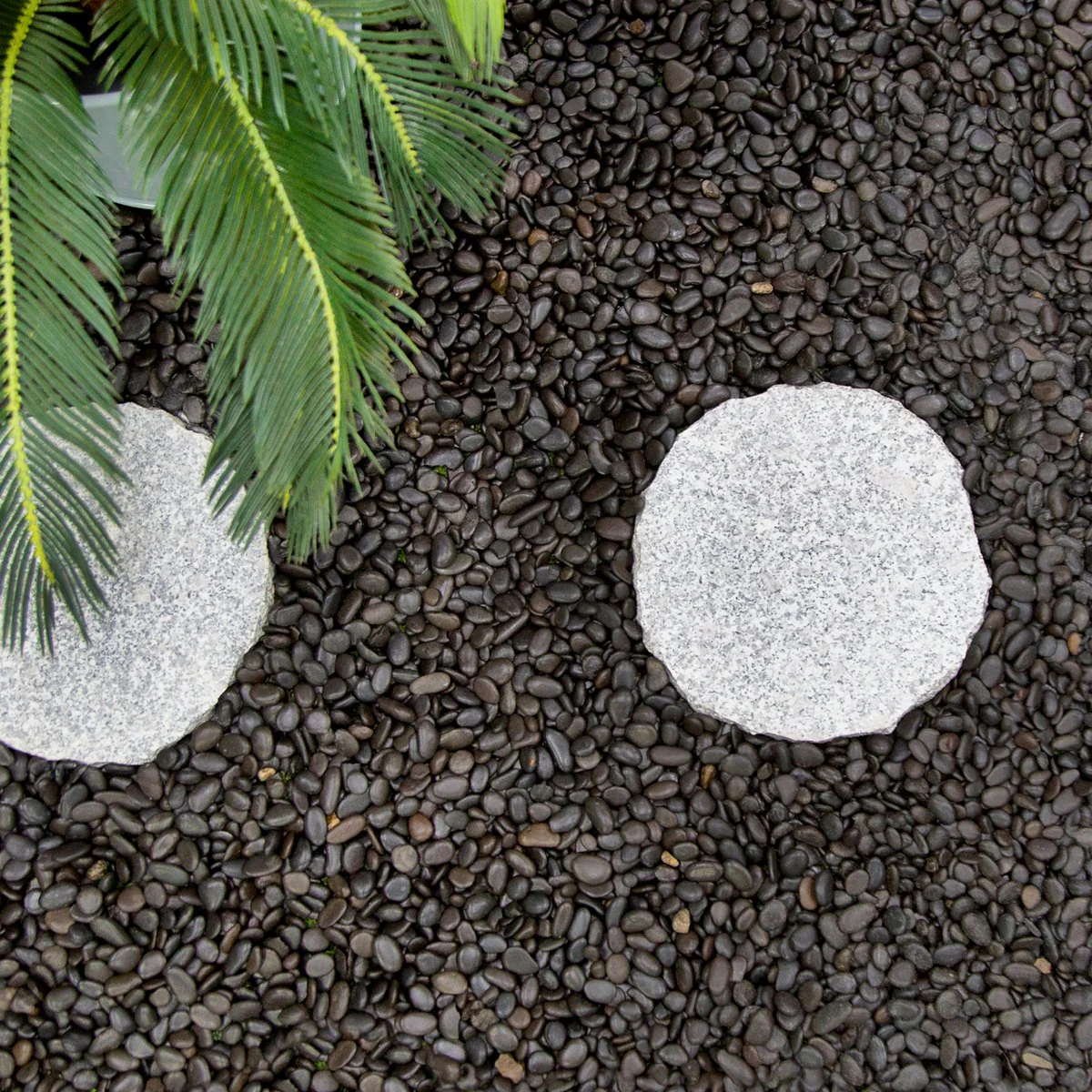 Tuscan Path Black Natural Pebbles 15-20mm 5kg for Landscaping - Image 3