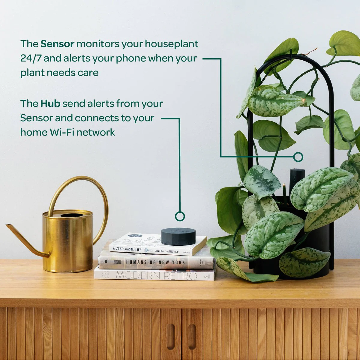 Willow Smart Indoor Plant Sensor Plant Parent Pack Moss - 3 Sensors - 260mm x 40mm x 197mm - Monitors Soil Moisture, Light, Temperature, Humidity - Image 5