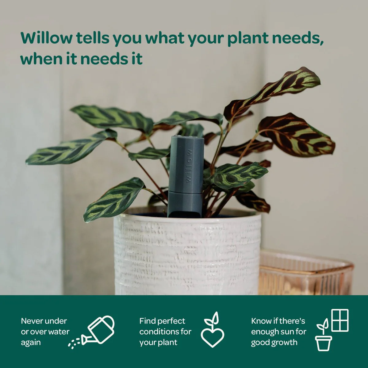 Willow Smart Indoor Plant Sensor Urban Jungle Pack - 5 Sensors & Hub - 355mm x 40mm x 197mm - Monitors Soil Moisture, Light, Temperature, Humidity - Image 5