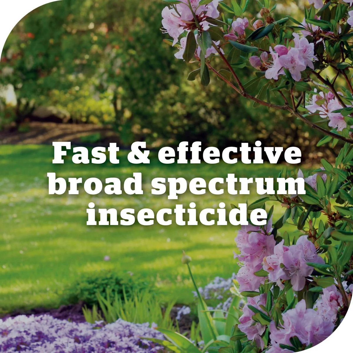 Yates Advanced Garden Insect Killer - 50ml - Liquid - Fast Acting - Image 5