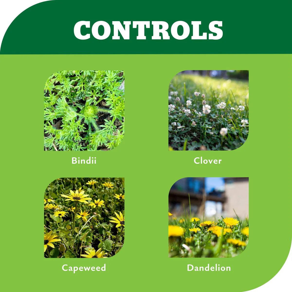 Yates Bindii and Clover Weedkiller - 500ml - Liquid - Broad Spectrum - Image 4