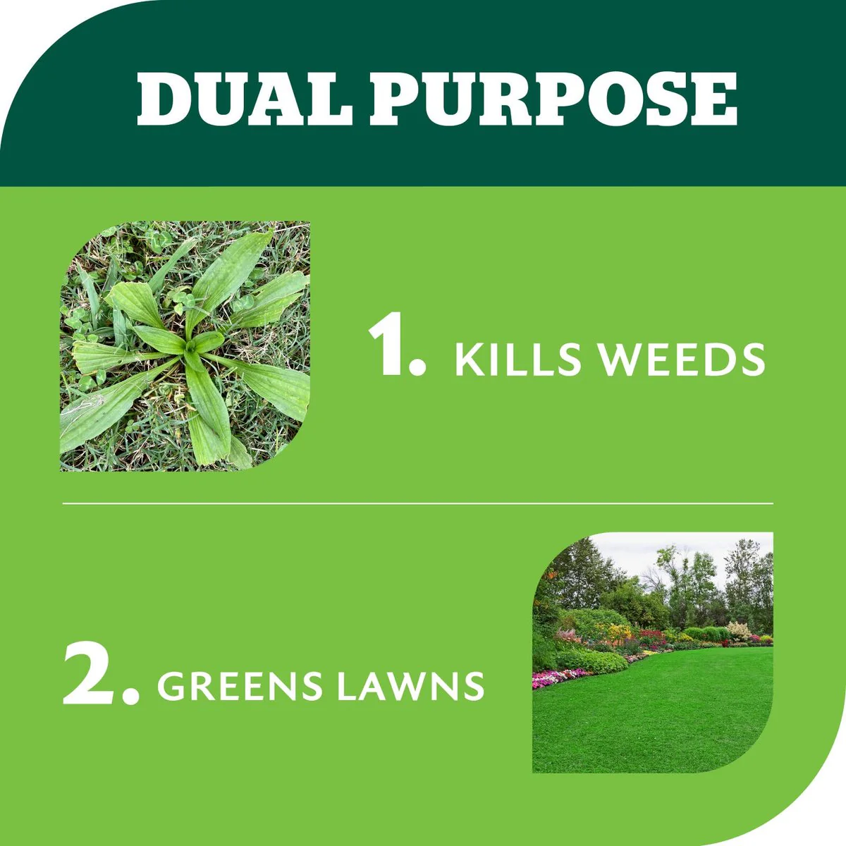 Yates Weed N Feed Hose on Lawn Weed Killer 4L - Treats 260m² - Image 5