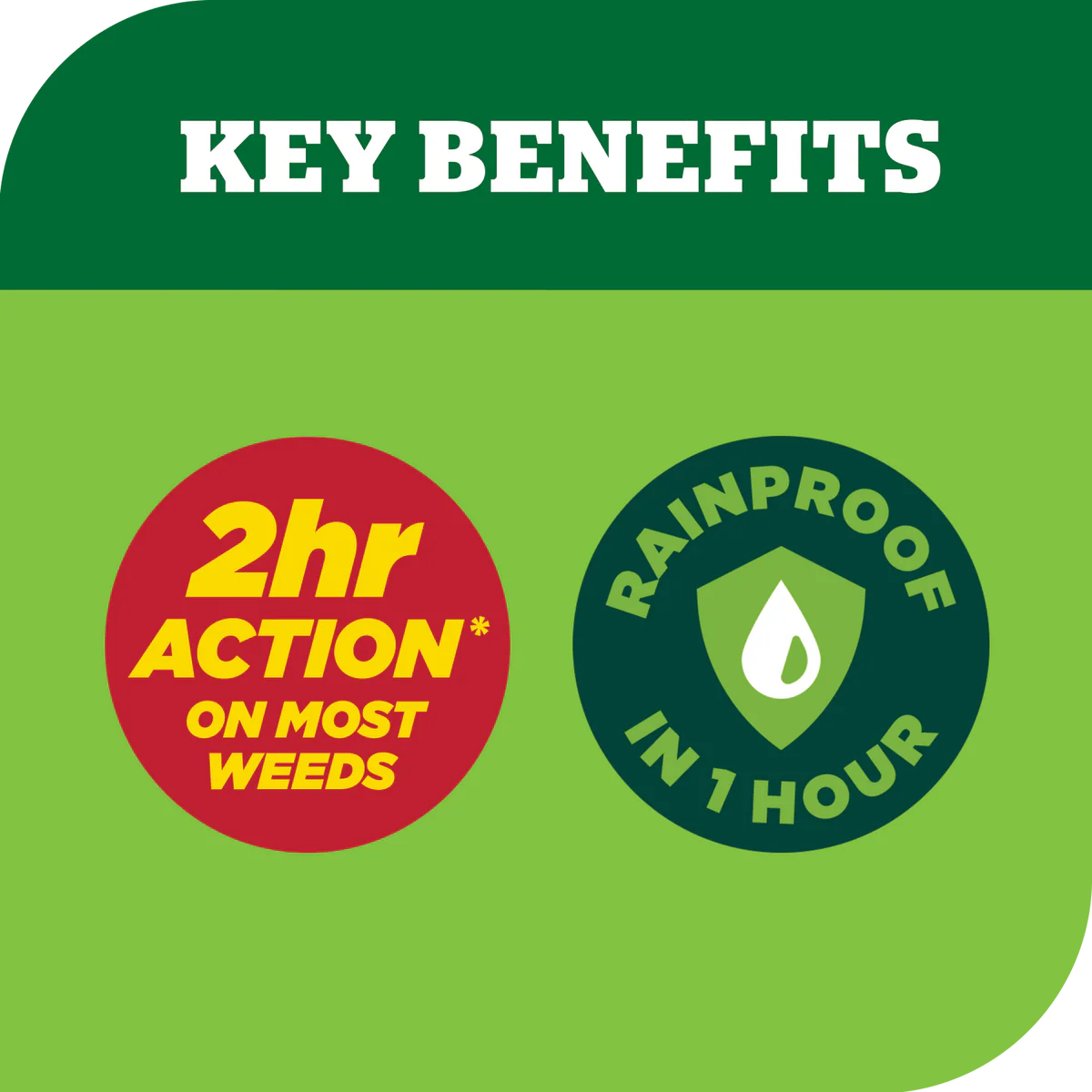 Yates Zero Ready to Use Triple Strike Garden Weedkiller 1L - Glyphosate-Free - Systemic Action - Fast Results - Image 4