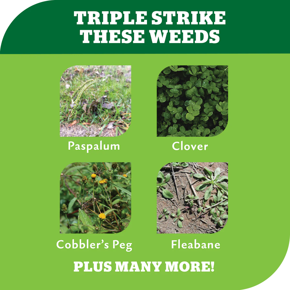 Yates Zero Ready to Use Triple Strike Garden Weedkiller 1L - Glyphosate-Free - Systemic Action - Fast Results - Image 5