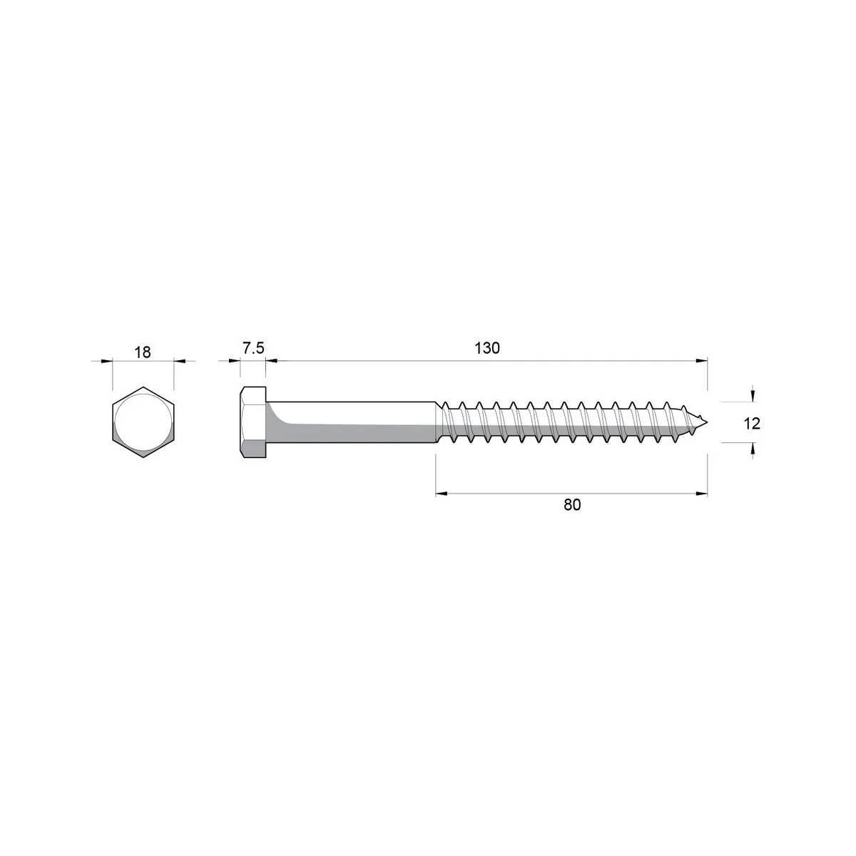 Zenith M12 Hex Head Coach Screws - 130mm - Hot Dip Galvanised - Heavy-Duty - Image 2