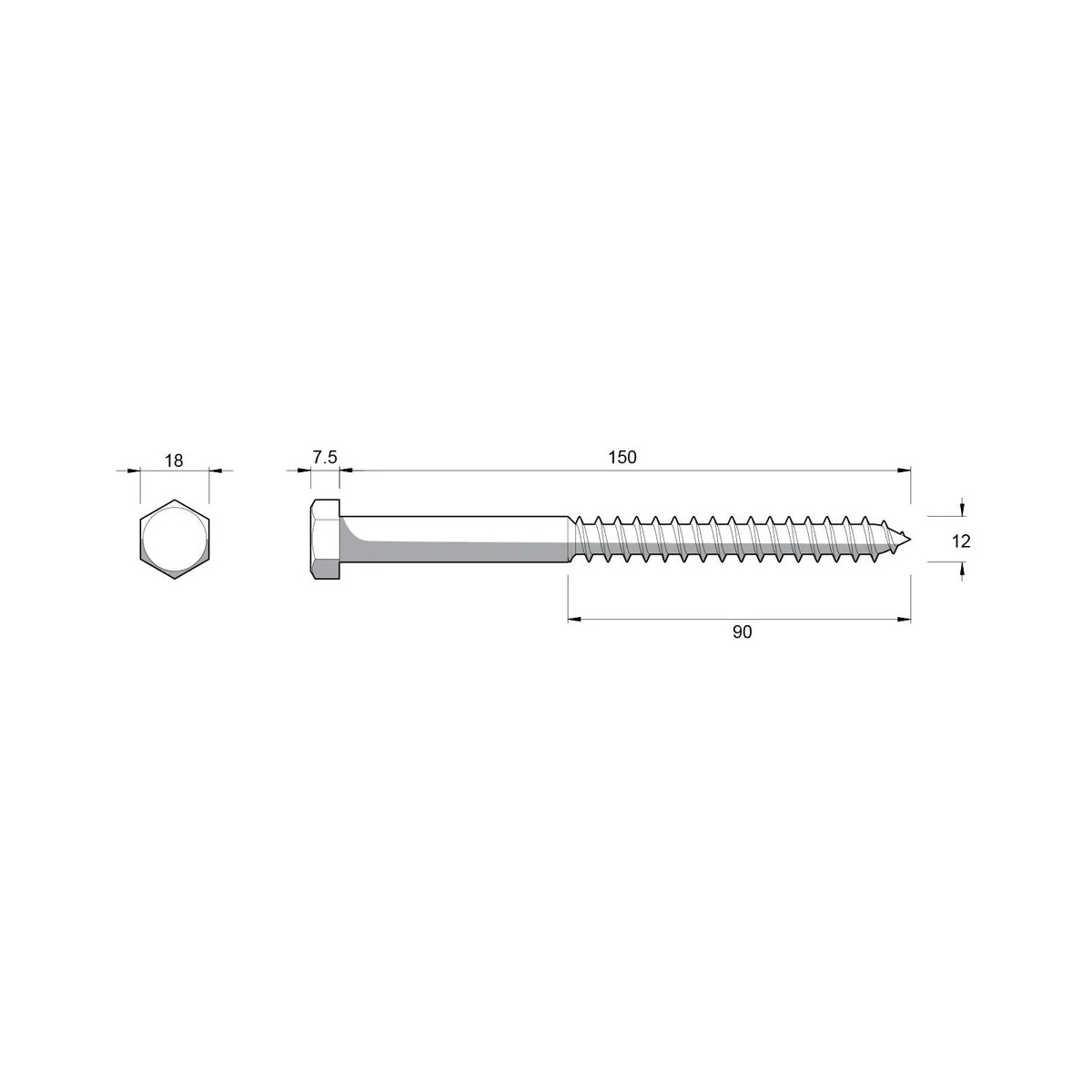 Zenith M12 Hex Head Coach Screws - 150mm - Hot Dip Galvanised - Heavy-Duty - Image 2
